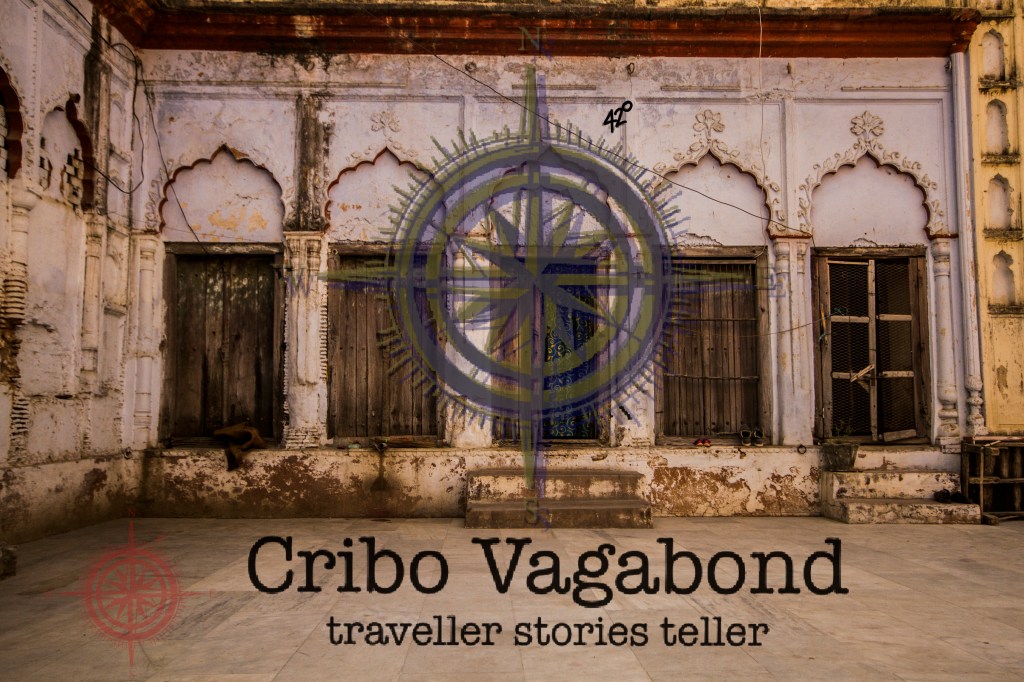 Cribo Vagabond